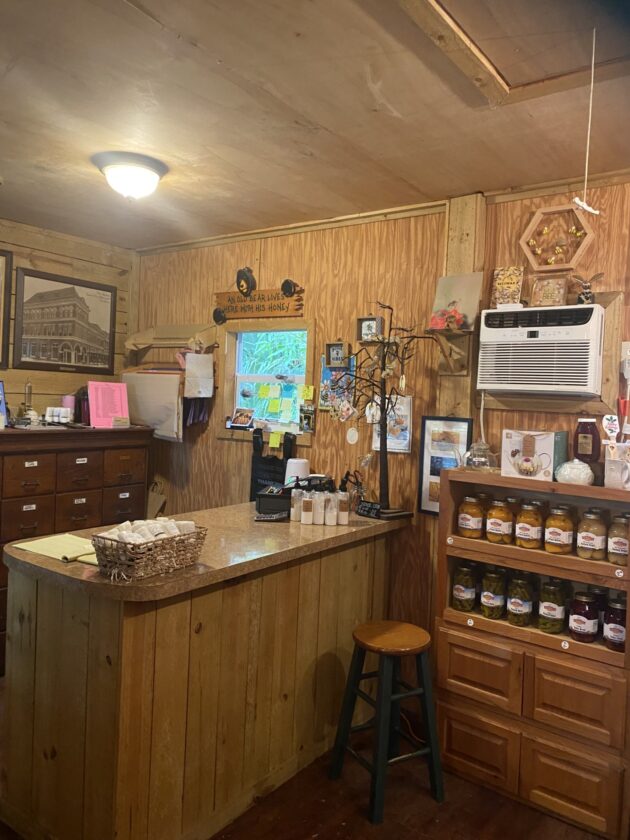 Gallery image